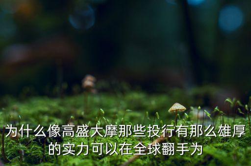 為什么來大摩，為什么經(jīng)濟(jì)實(shí)力不如摩根大通的摩根士丹利反而被稱作大摩  搜
