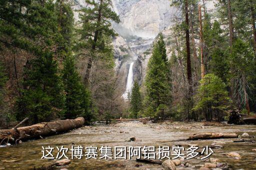 博賽集團阿壩鋁廠有些什么部門，這次博賽集團阿鋁損實多少