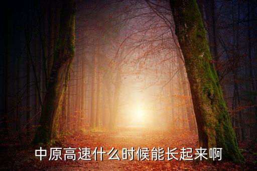 中原高速什么時候發(fā)行的，中原高速什么時候能長起來啊