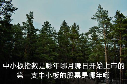 上證a股000002什么時候上市的，中小板指數(shù)是哪年哪月哪日開始上市的第一支中小板的股票是哪年哪