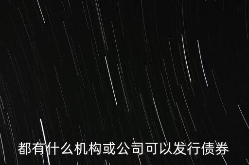 什么公司可以發(fā)行債券，有哪些公司可以發(fā)行債券