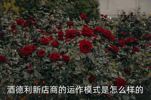 什么是n2n模式，如何設置n2n gui急