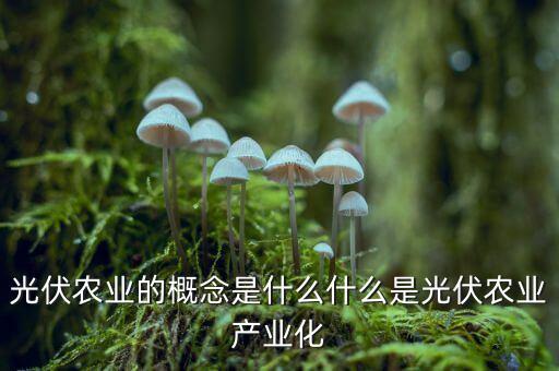 光伏農(nóng)業(yè)概念是什么，光伏下鄉(xiāng)什么是光伏下鄉(xiāng)