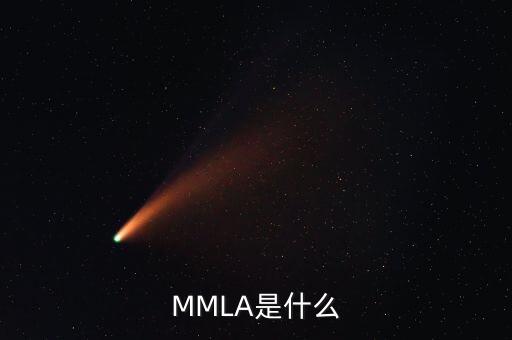螞蟻達(dá)客是什么，南京微信搖車牌號的公眾號是什么