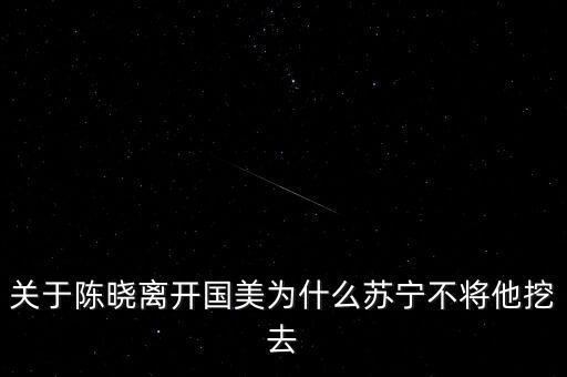關(guān)于陳曉離開(kāi)國(guó)美為什么蘇寧不將他挖去