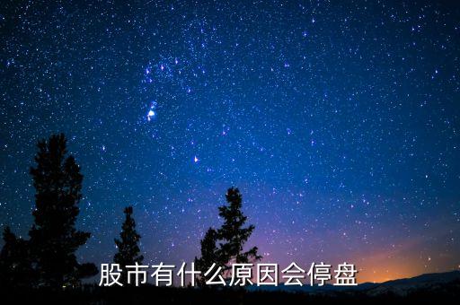 002203為什么停盤，股市有什么原因會(huì)停盤