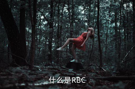 rbc是什么銀行，關(guān)于rbc銀行