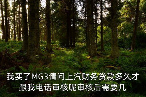 我買了MG3請問上汽財務(wù)貸款多久才跟我電話審核呢審核后需要幾