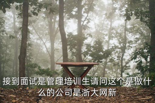接到面試是管理培訓(xùn)生請問這個是做什么的公司是浙大網(wǎng)新