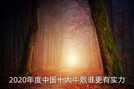 2020年度中國十大牛散誰更有實力