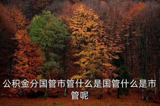 什么是國管公積金，公積金分國管市管什么是國管什么是市管呢
