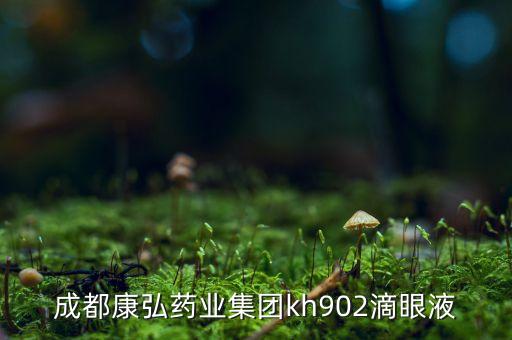 成都康弘藥業(yè)集團kh902滴眼液