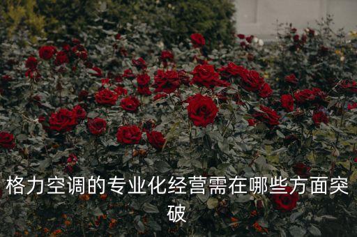 格力空調(diào)的專業(yè)化經(jīng)營(yíng)需在哪些方面突破