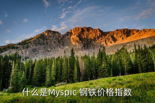 什么是Myspic 鋼鐵價格指數(shù)