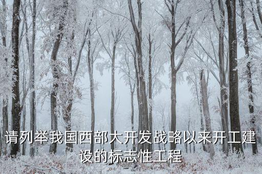 請(qǐng)列舉我國(guó)西部大開(kāi)發(fā)戰(zhàn)略以來(lái)開(kāi)工建設(shè)的標(biāo)志性工程