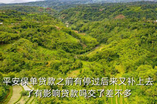 平安保單貸款之前有停過后來又補(bǔ)上去了有影響貸款嗎交了差不多