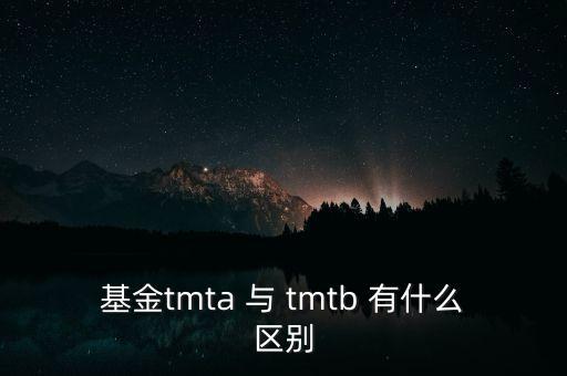 tmta是什么，基金tmta 與 tmtb 有什么區(qū)別