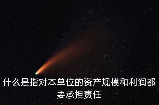 資產(chǎn)規(guī)模指的是什么，資產(chǎn)規(guī)模和份額規(guī)模分別指什么