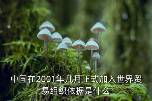 中國(guó)是什么時(shí)候加入gatt，中國(guó)是什么時(shí)間加入的