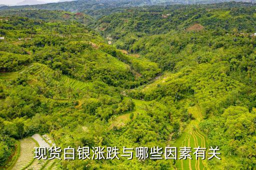現(xiàn)貨白銀漲跌與哪些因素有關