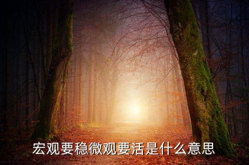 宏觀(guān)政策要穩(wěn)具體指什么，宏觀(guān)要穩(wěn)微觀(guān)要活是什么意思