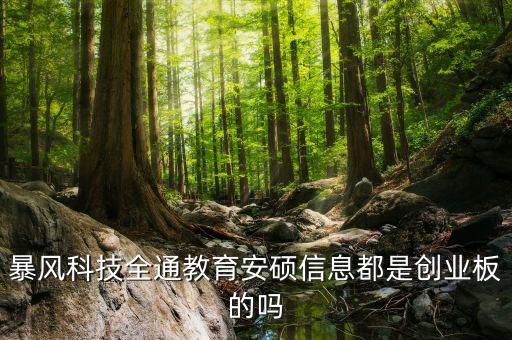 暴風(fēng)科技屬于什么板塊，暴風(fēng)集團(tuán)是上證指數(shù)還是深圳指數(shù)