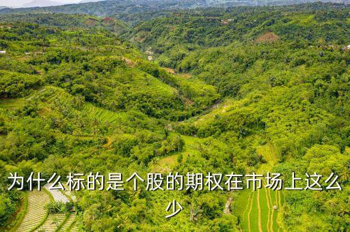 市場上為什么好的投資標(biāo)的少，2005年中國證券市場發(fā)生了什么為什么上市公司增發(fā)融資的那么少