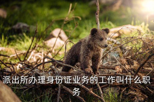 身份證歸什么管，身份證歸屬地姓名是什么