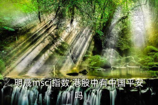 明晟指數(shù)是什么意思，明晟msci指數(shù) 港股中有中國平安嗎