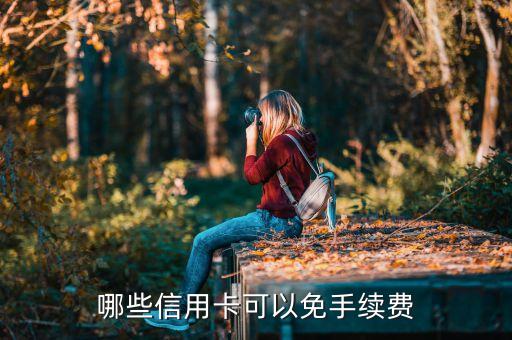 什么信用卡支付寶不用手續(xù)費(fèi)，哪些信用卡可以免手續(xù)費(fèi)