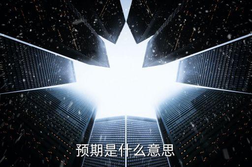 預期是什么意思