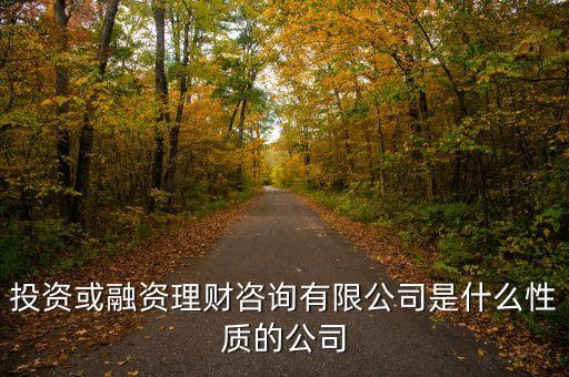 金融理財有限公司是什么性質(zhì)的，投資或融資理財咨詢有限公司是什么性質(zhì)的公司