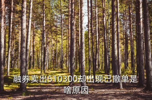 510300是什么，融券賣出510300卻出現(xiàn)已撤單是啥原因