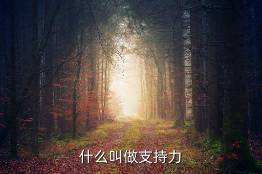 什么叫支持作用，什么叫支持
