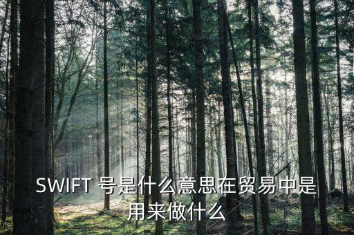 外貿(mào)中swift是什么意思，外貿(mào) 客戶說(shuō)把swift發(fā)過(guò)來(lái)是什么意思 另外發(fā)到哪里