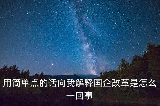 用簡單點的話向我解釋國企改革是怎么一回事