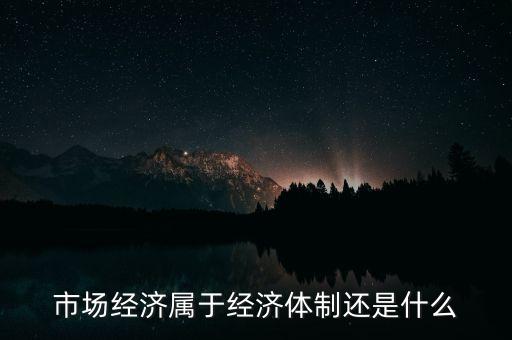 市場經(jīng)濟(jì)屬于經(jīng)濟(jì)體制還是什么