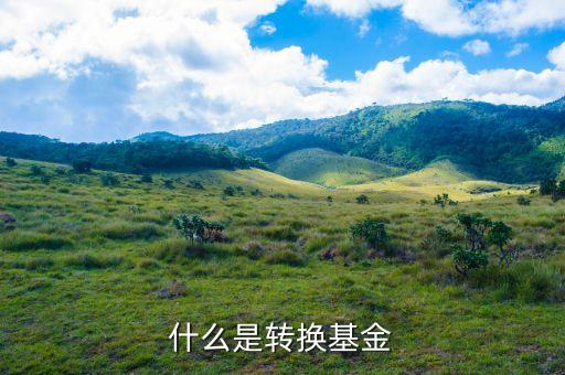 轉(zhuǎn)換基金是什么意思，基金里的轉(zhuǎn)換是什么意思