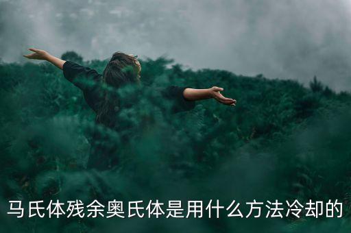 什么是qp鋼，什么國產車是馬氏體鋼