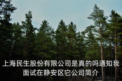 上海民生股份有限公司是真的嗎通知我面試在靜安區(qū)它公司簡介