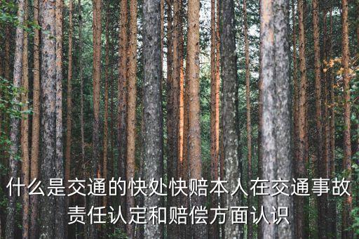 車險快賠是什么，汽車快賠是什么意思