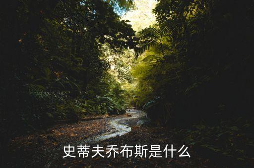喬布斯是做什么的，喬布斯是什么