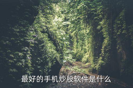 手機買股票用什么軟件好，手機炒股哪個軟件比較好