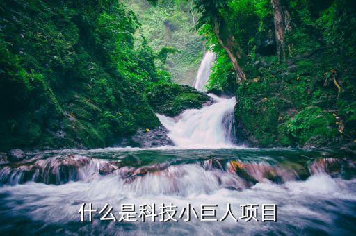 科技小巨人是什么，科技之星有哪些人