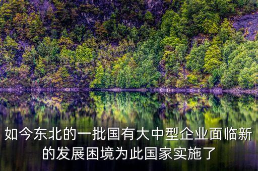 東北國企改革為什么落后，國有企業(yè)改革為什么是東北振興的重頭戲
