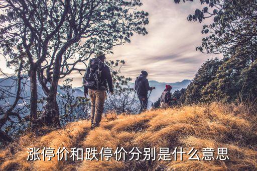 基金跌停是什么意思，跌停是什么意思