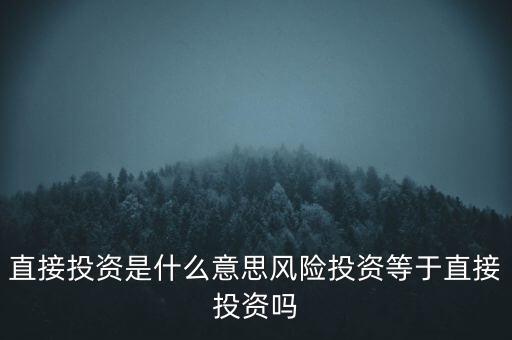 直接投資是什么意思風(fēng)險(xiǎn)投資等于直接投資嗎