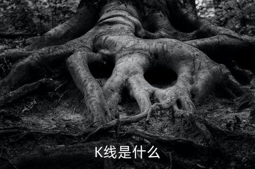 k線又稱什么，K線是什么