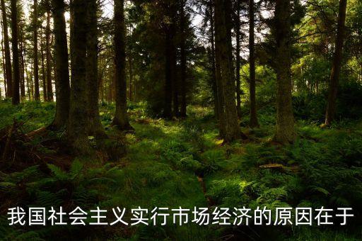 我國社會主義實行市場經(jīng)濟的原因在于