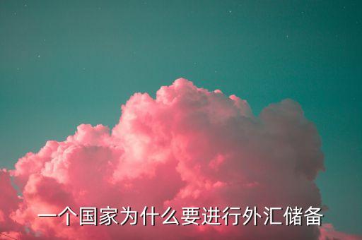一個(gè)國家為什么要進(jìn)行外匯儲(chǔ)備